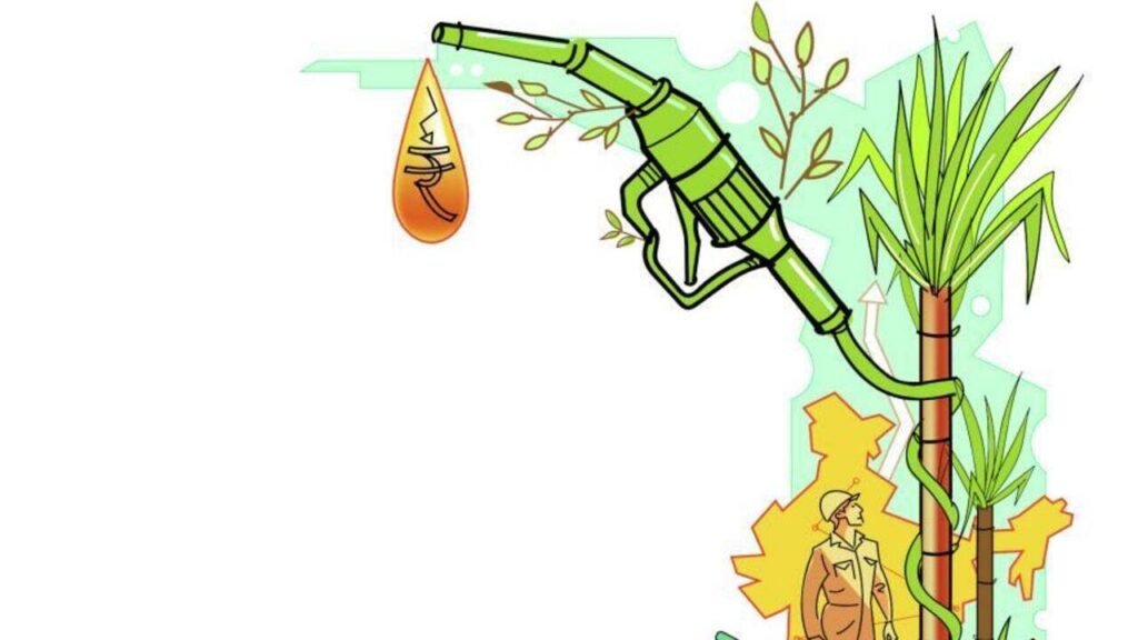 AAP raises E20 petrol concerns | Goa News