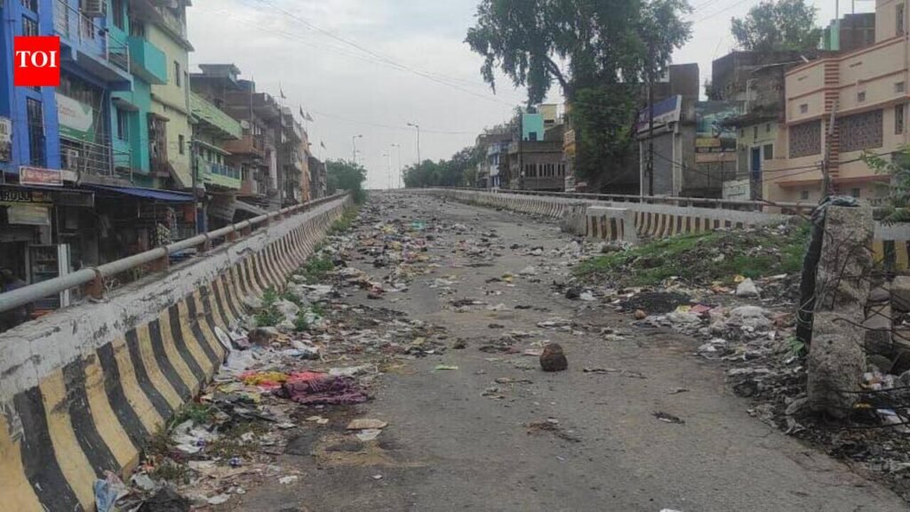 Repair of Dehri railway overbridge takes longer than its construction | Patna News