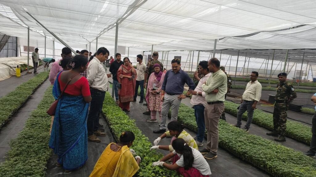Gumla gets region’s largest grafted nursery, run by tribal women entrepreneurs | Ranchi News