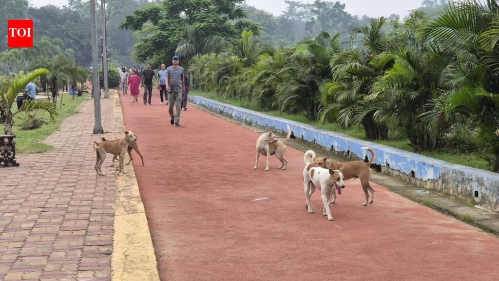 18 bitten by stray dog in Nirsa as Dhanbad residents flag growing menace | Ranchi News