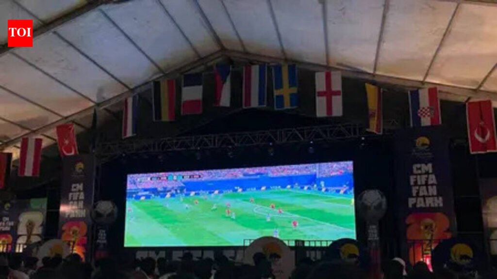 Football fans in Jaipur turn the FIFA WC final into a carnival | Jaipur News
