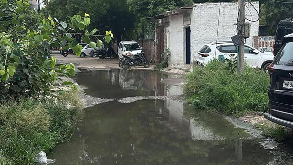 Quick fixes fall short as sewage floods streets, Gurgaon Sector 40 RWA seeks desilting | Gurgaon News