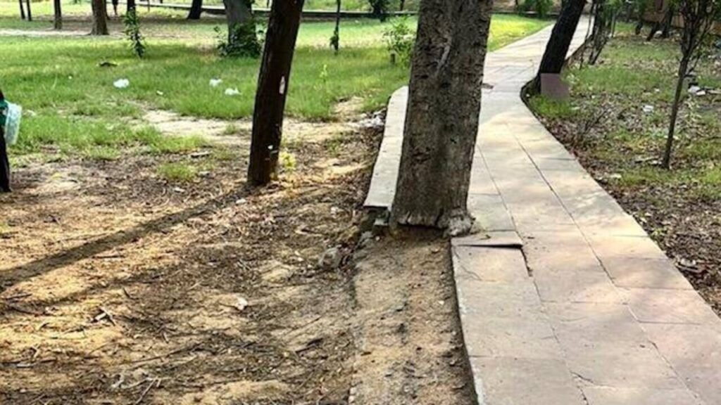 Garbage piles, broken benches: Greater Noida park lies in neglect | Noida News