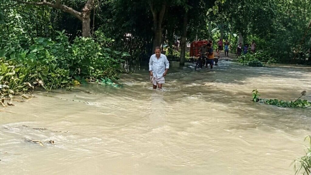 Heavy rain destroys crops in several dists, farmers seek govt help | Bhubaneswar News