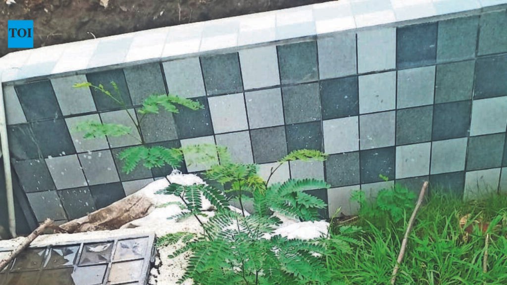 Peddlers Using NMC Properties As Narco Dumps? Citizens Want Action | Nagpur News