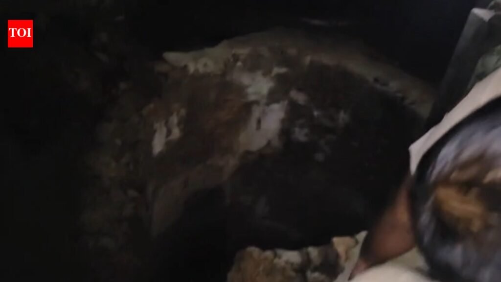 4 die after entering well to rescue calf in Haryana; toxic gas suspected | Chandigarh News