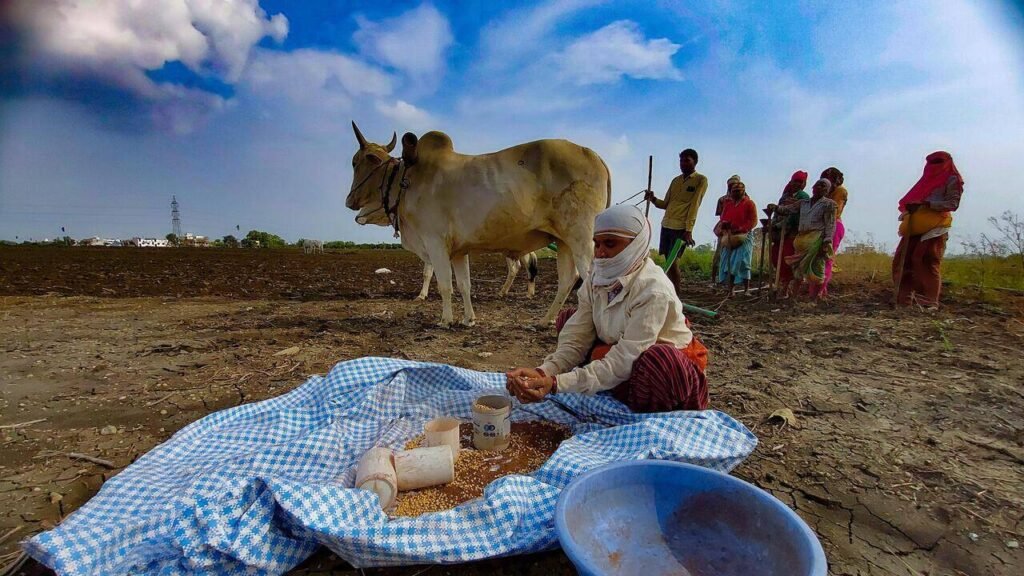 56 FIRs in a fortnight against seed firms: As soybean crisis deepens, new Act on the cards | Pune News
