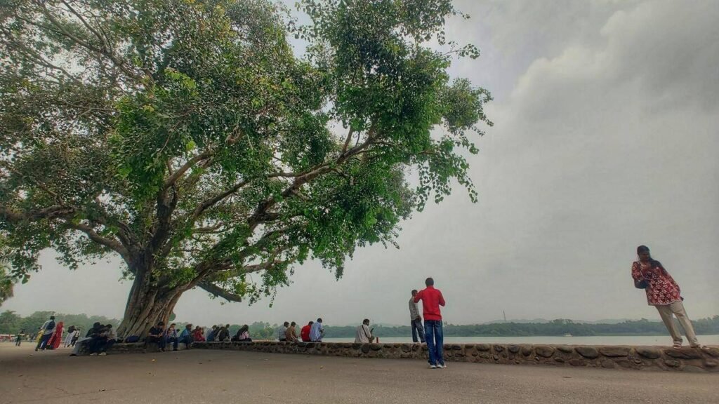 Rain brings relief but humidity keeps Chandigarh muggy | Chandigarh News