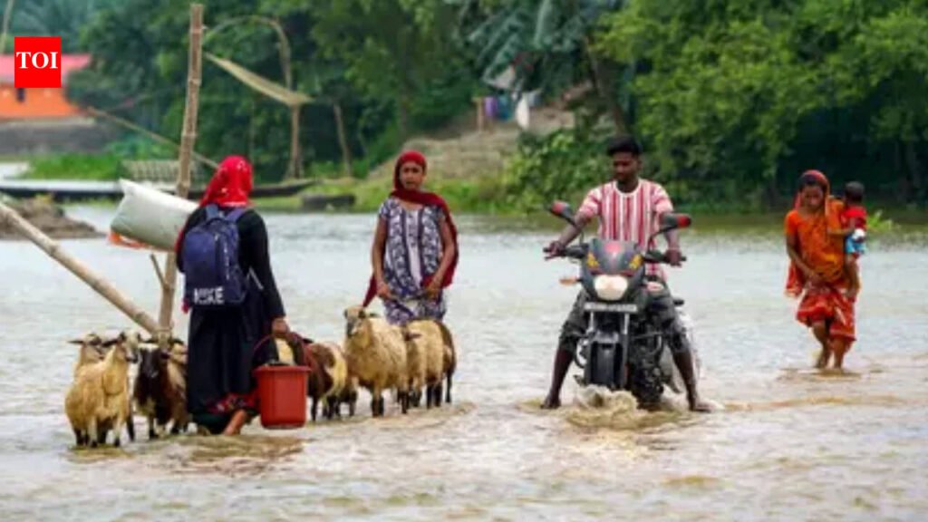 Assam floods: Death toll reaches 5, over 57,000 affected across 7 districts | Guwahati News