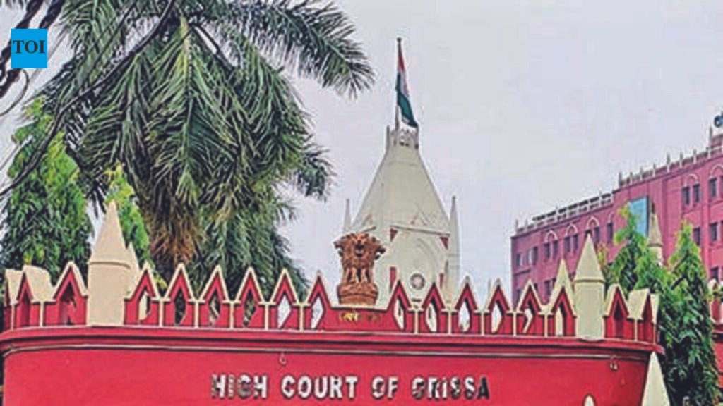 Playgrounds integral to edu: HC stays construction on school land | Bhubaneswar News