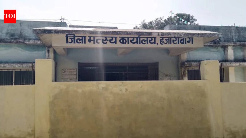 Unidentified man found dead with injuries at Hazaribag office | Ranchi News