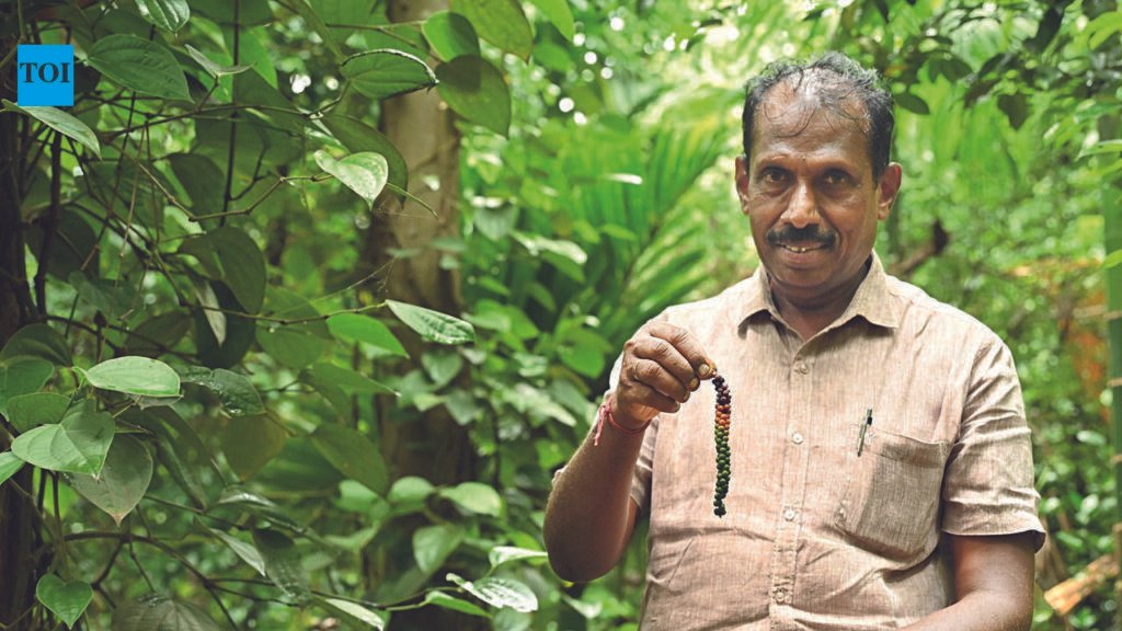Coimbatore Farmer Earns UN FAO Recognition for Soil Health Farming Model | Chennai News