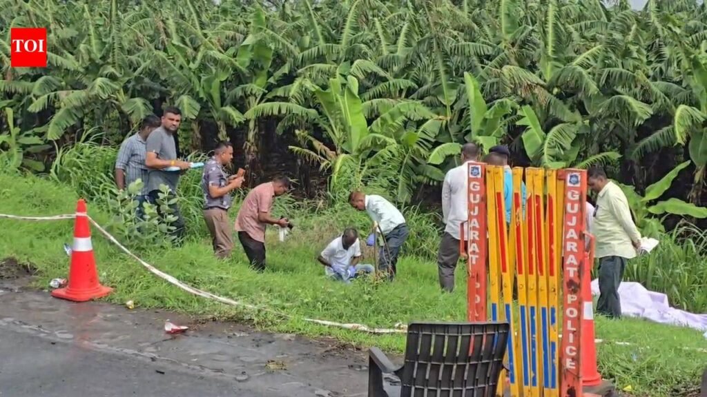 Child rape-murder accused killed in Anand encounter | Vadodara News