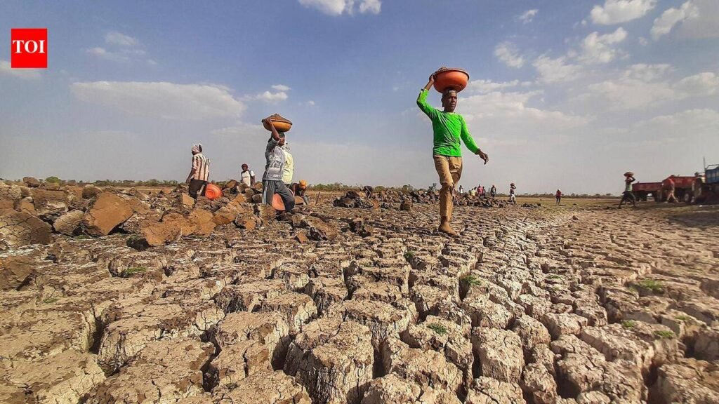 Dry spell dries up 6,000 water bodies; only 584 lakes full | Bengaluru News