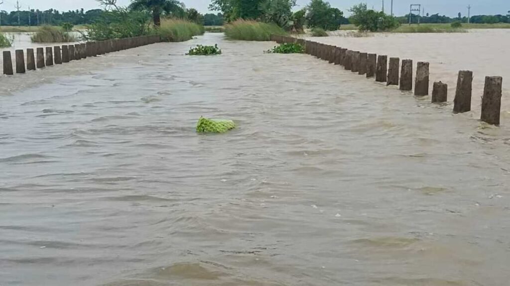 Cuttack got Rs 11.67cr for flood protection: Union minister | Bhubaneswar News