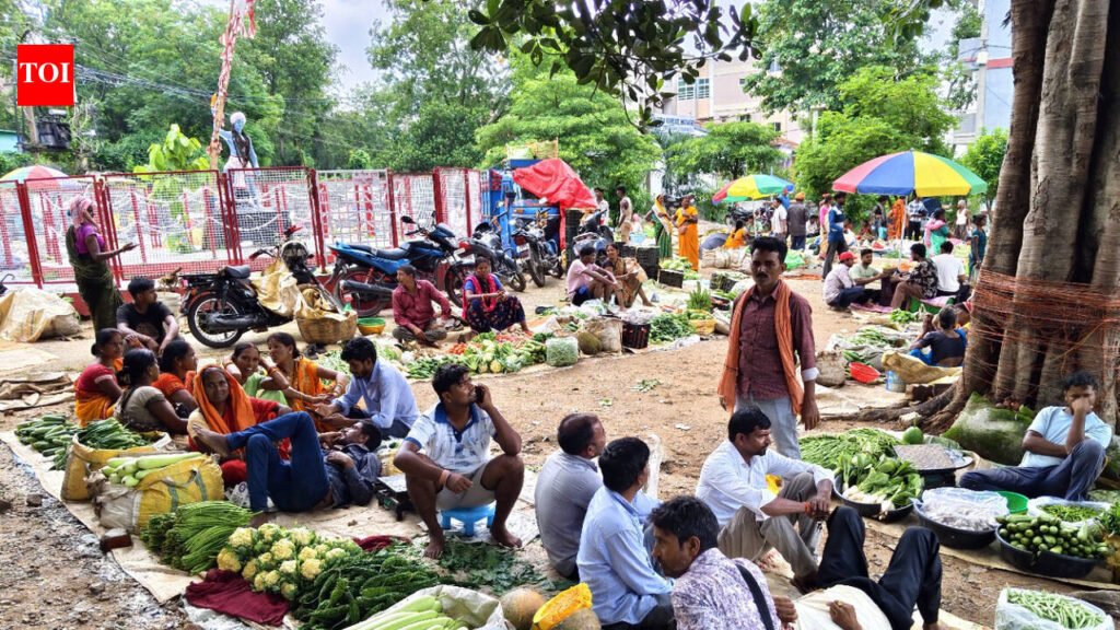 Planned vending zones can ease urban mobility: Study | Mysuru News