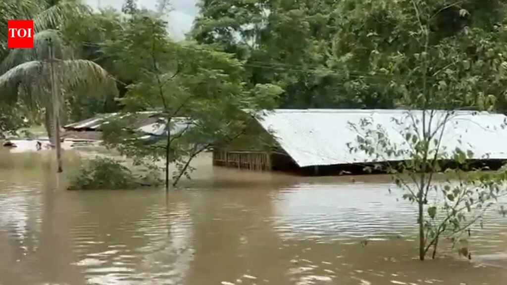 Assam floods: 5 killed in a day, 3.63 lakh affected; rail services hit, tea gardens submerged | Guwahati News