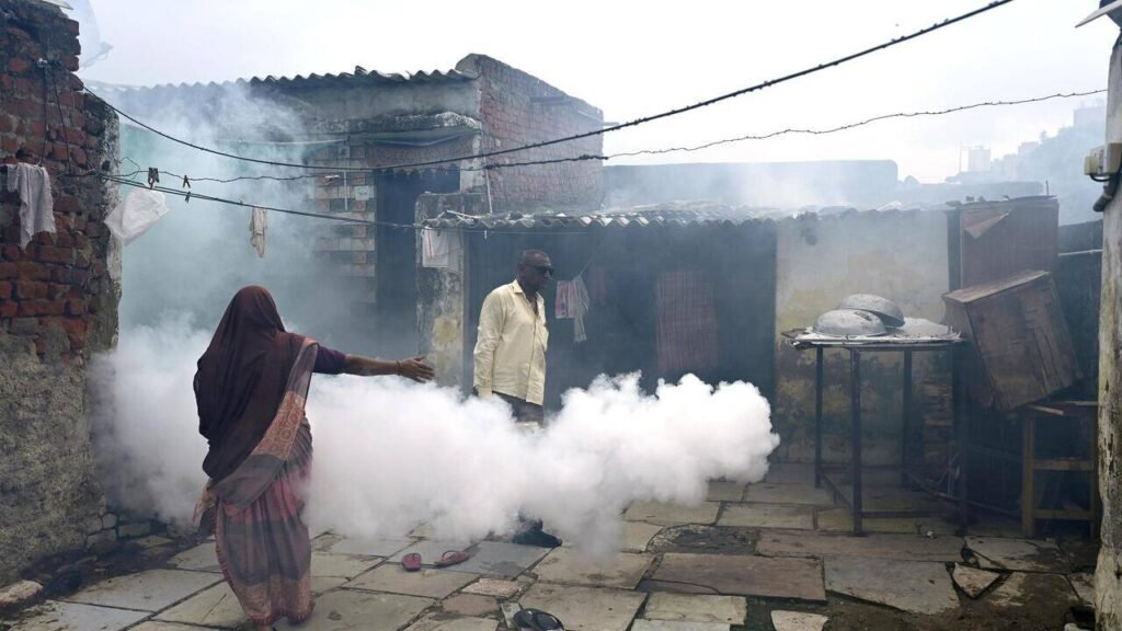 Health minister reviews outbreak after 12 test positive for Chandipura virus | Ahmedabad News