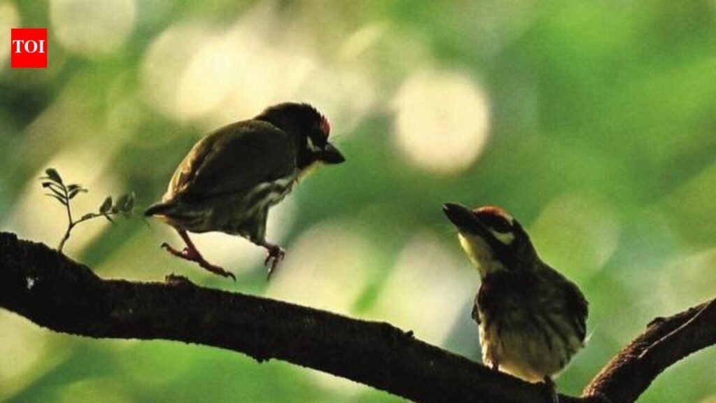 MLA: Bhandup bird park to host 250 migratory species | Mumbai News