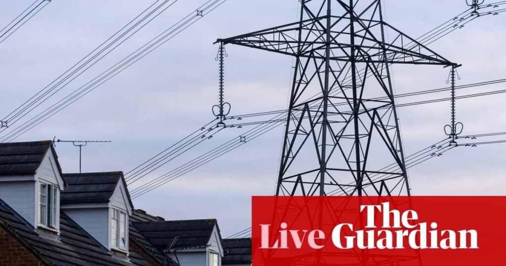 Burnham cuts VAT on household electricity bills; UK borrows less than expected in June – business live | Business