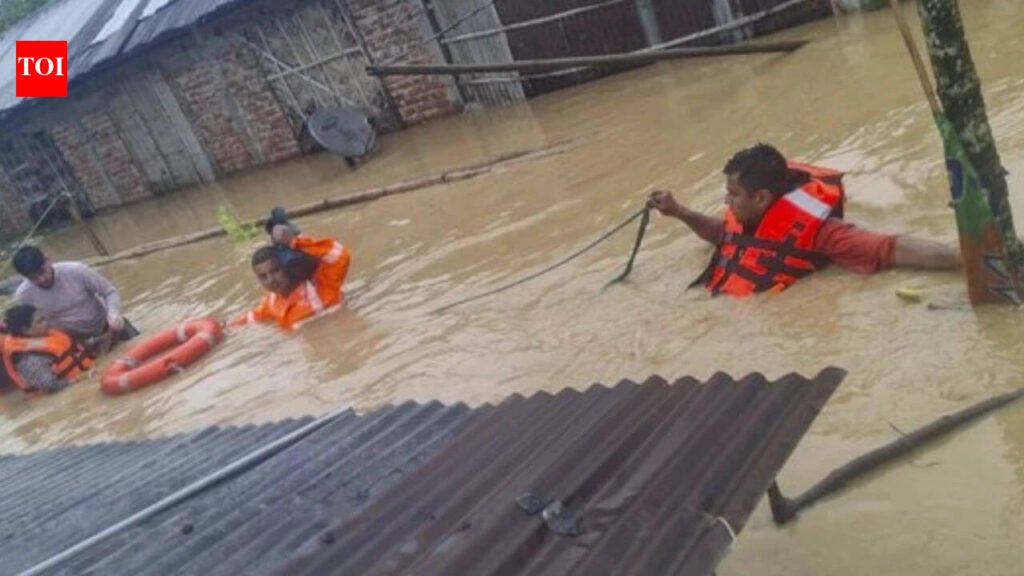 Assam flood toll rises to 11; over 3.10 lakh affected as major rivers remain in spate | Guwahati News