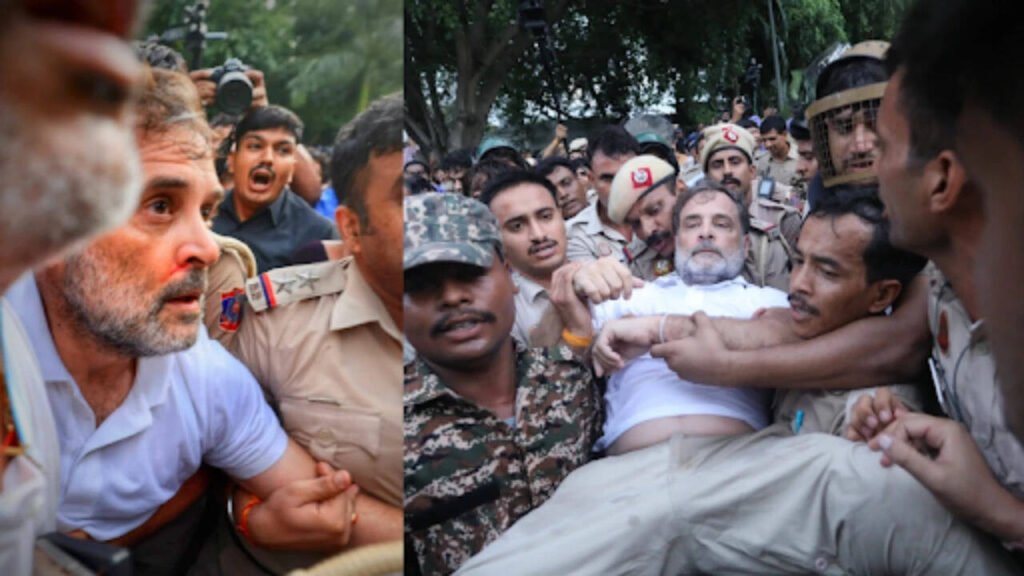 Rahul Gandhi Protest: Watch: Rahul Gandhi dragged away, forcibly removed from protest site; pics show nosebleed | India News