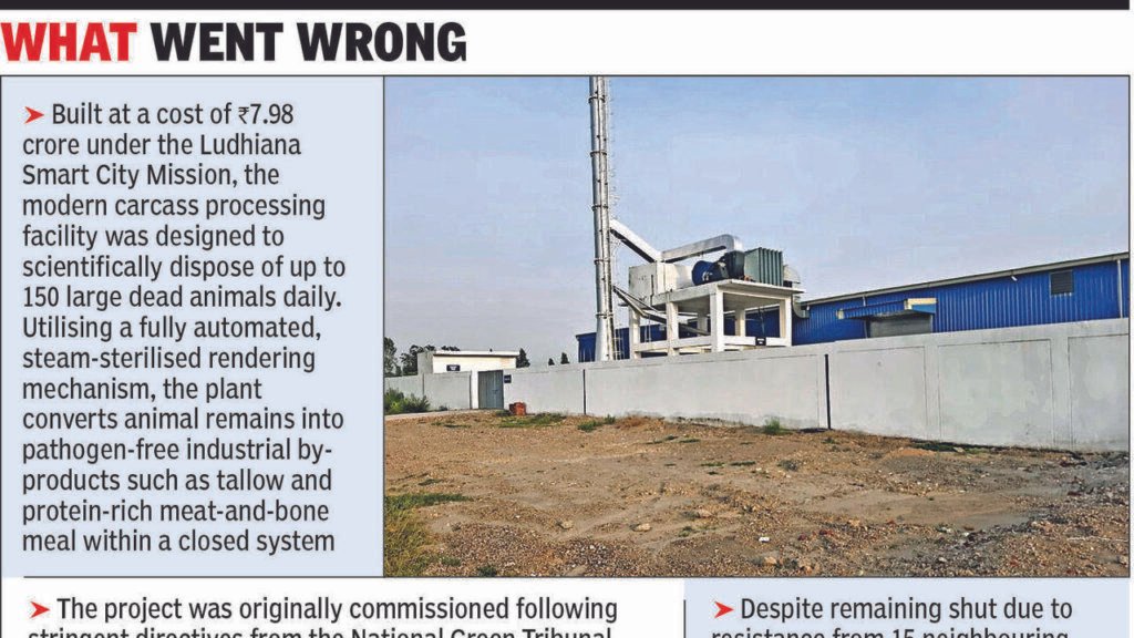 Ludh carcass plant faces fresh wrath at new site | Ludhiana News