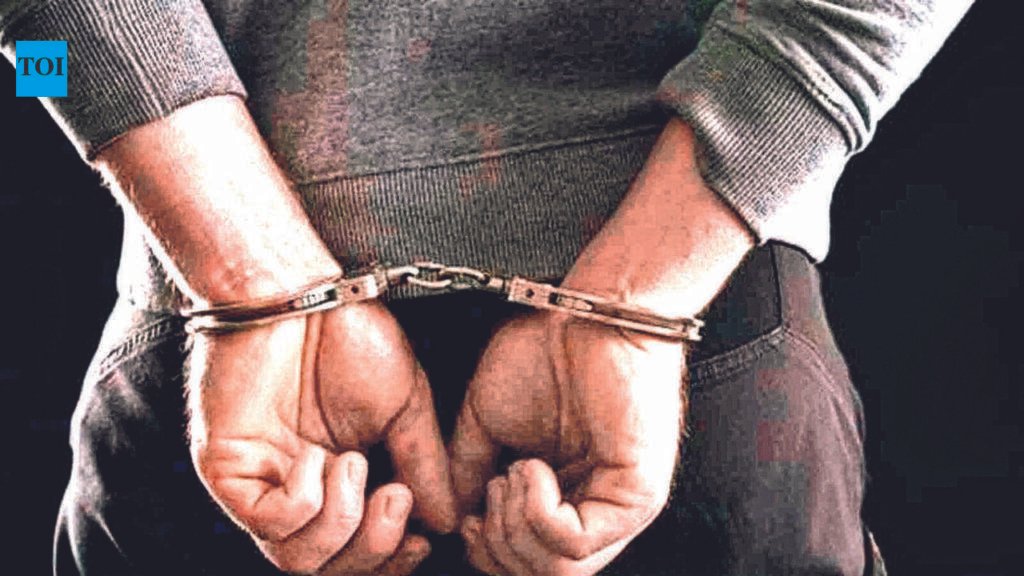 Teen kills goat herder to fund Daman trip | Vadodara News