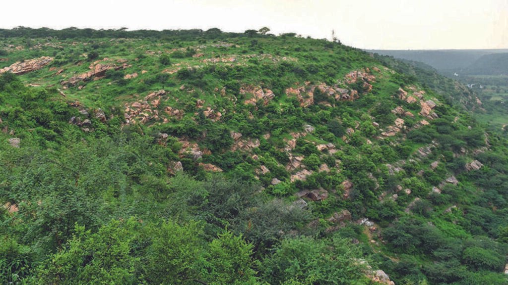 SC panel seeks public inputs on Aravali protection, report by Aug 31 | Gurgaon News