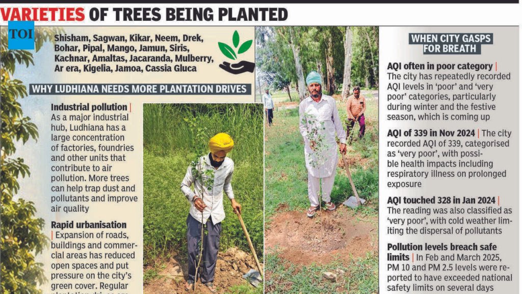 Go green this monsoon: MC to plant around 12 lakh saplings | Ludhiana News