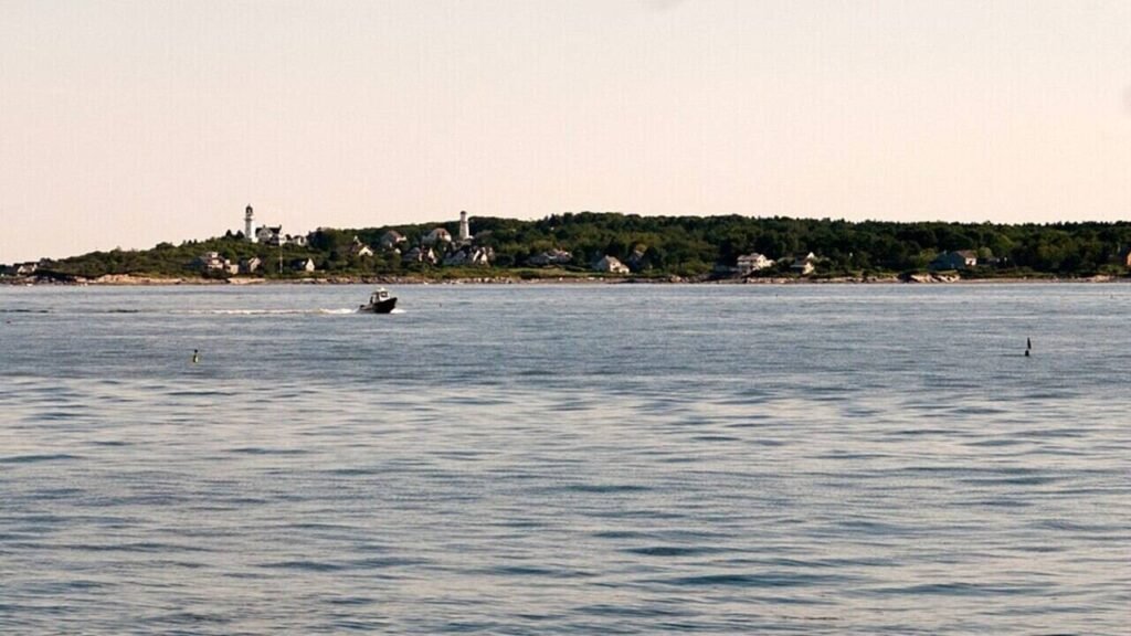 In 2025, US scientists poured 16,500 gallons of lye and bright pink dye into the Gulf of Maine, the first federally approved attempt to reverse the ocean’s rising acidity |