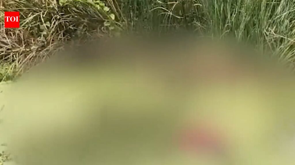 Bengaluru horror: Woman’s body found inside suitcase in Ramohalli lake, jewellery missing | Bengaluru News