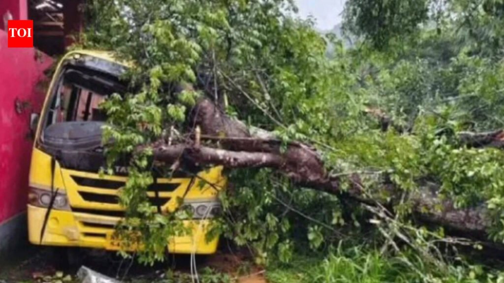 1 child dead, 2 injured after massive tree falls on school bus in Karnataka’s Dakshina Kannada | Mangaluru News