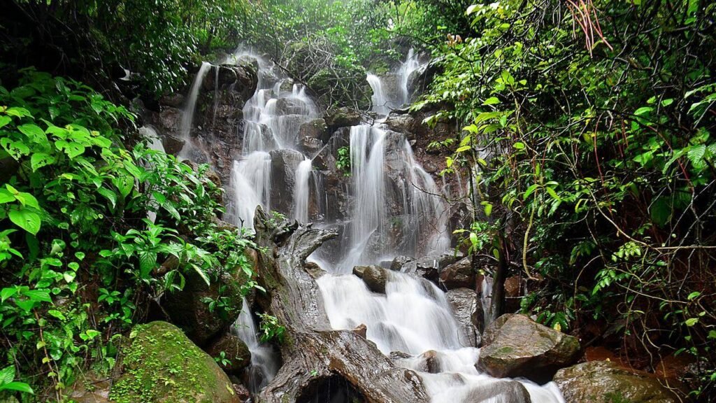 Khaunte warns against visits to ‘hidden gem’ waterfalls, quarries | Goa News