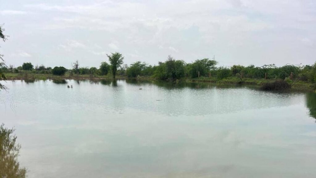 “Can’t Poison Citizens”: SC makes Raj CS personally responsible to rein in pollution in Jojari, Bandi rivers | Jaipur News