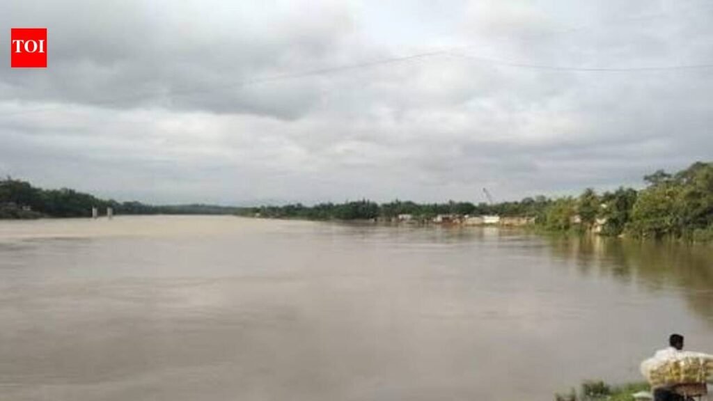 Cachar health dept sets up 24×7 control room as Barak swells | Guwahati News