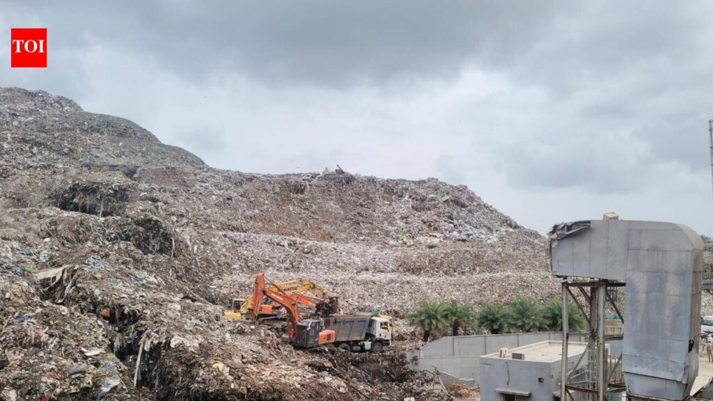 Joint panel to probe Moshi waste depot tragedy, submit report to NGT in a month | Pune News