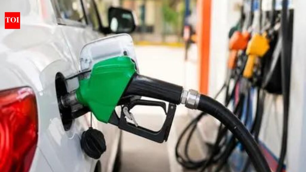 MPs ask why govt didn’t inform owners of non-E20 vehicles about mileage loss | India News