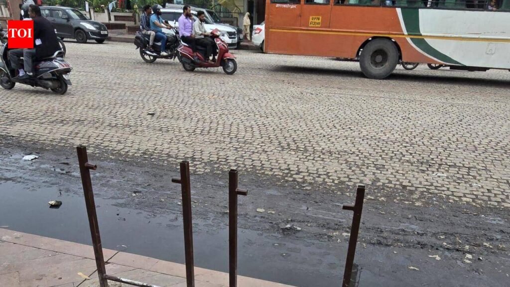 No dustbins, cleanliness trashed in heritage zone | Lucknow News