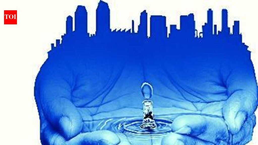 Over a month without water, Arpora residents blame inter-departmental ‘buck-passing’, seek CM’s intervention | Goa News