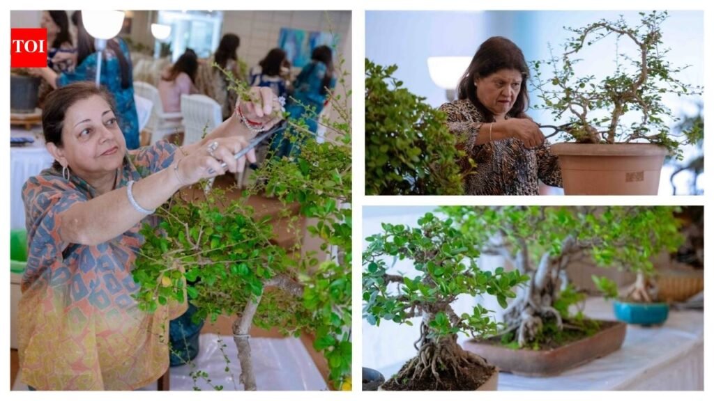 Rooted in patience: How Mumbai’s bonsai lovers find stillness together | Mumbai News