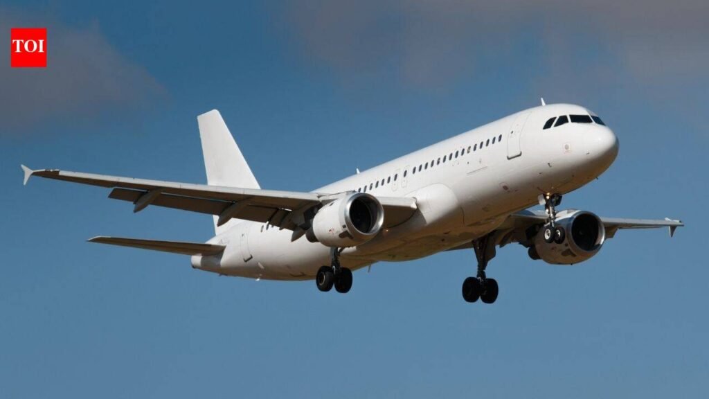 The hidden airplane space most passengers never see: Why flight attendants rely on the ‘sin bin’ during long journeys