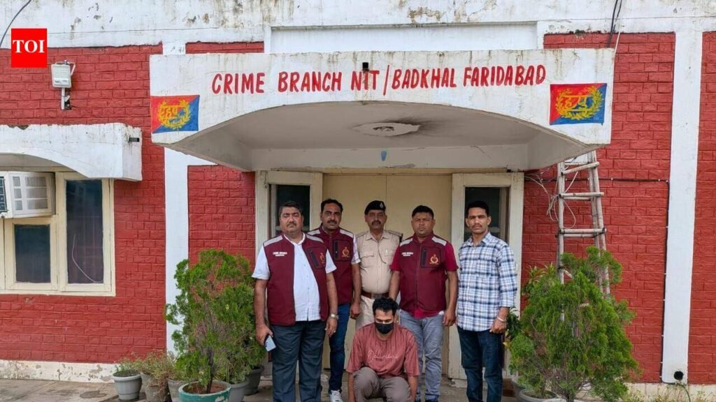 Delhi hotel staffer cooks up theft to cover up wife’s murder in Faridabad | Gurgaon News
