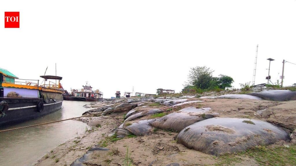 364 Assam villages lost to erosion: Min | Guwahati News