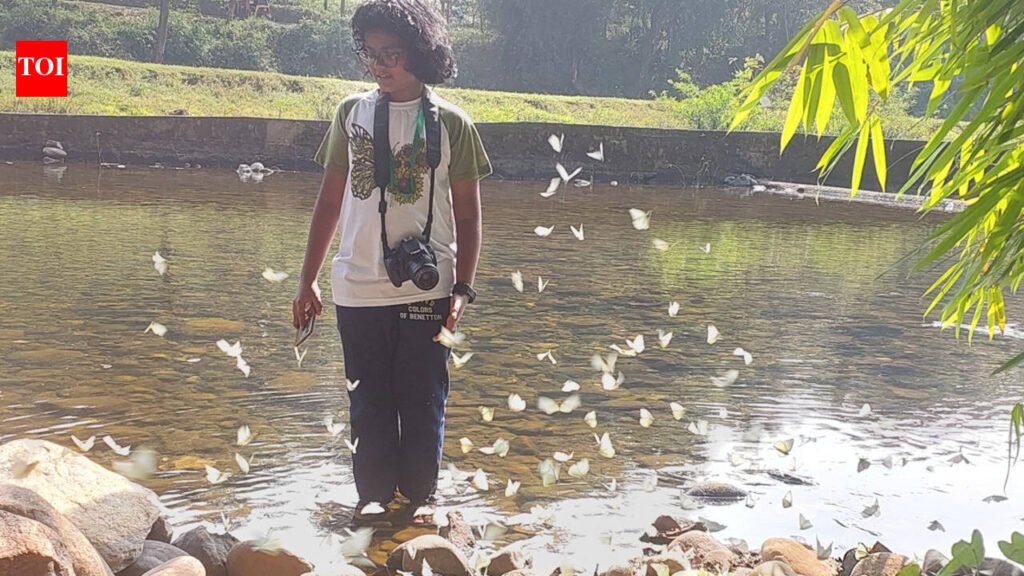 WHAT A FLUTTER! B’luru Butterfly Watchers Map City’s Winged Wonders | Bengaluru News