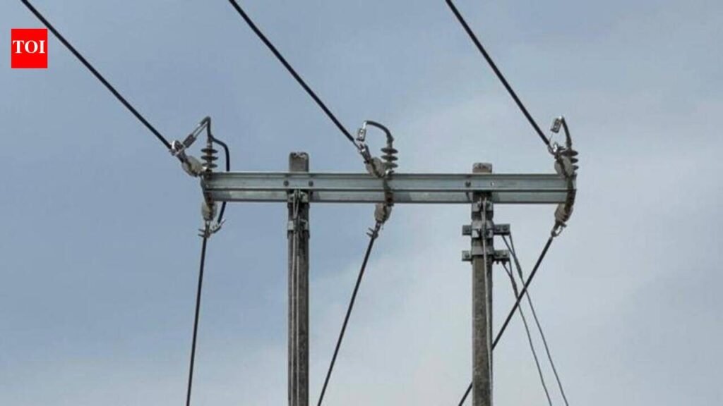 Raj’s raptor hub Keru gets state’s first bird-safe power grid | Jaipur News