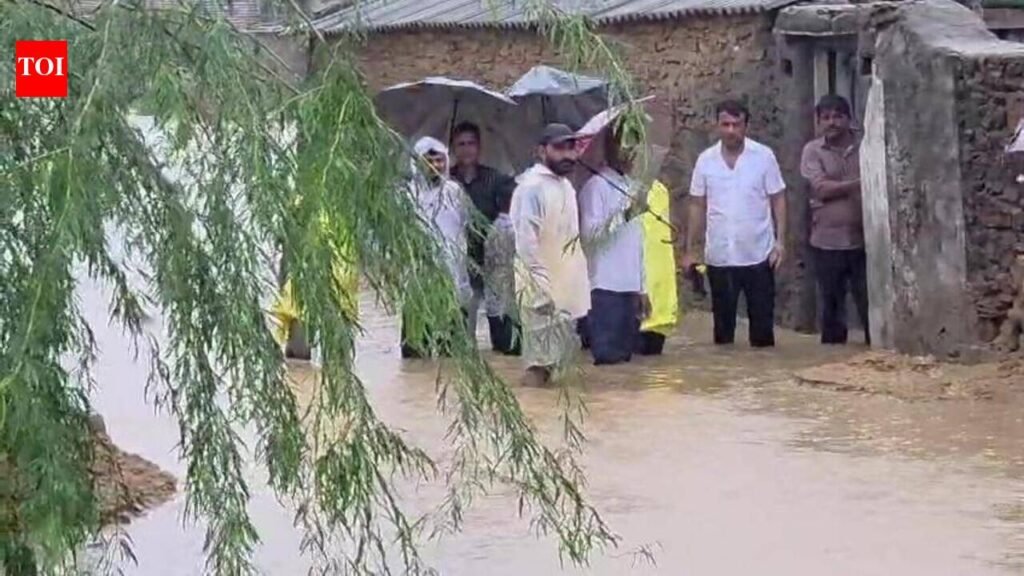 Kheda, Patan ravaged by intense rain lashing | Rajkot News
