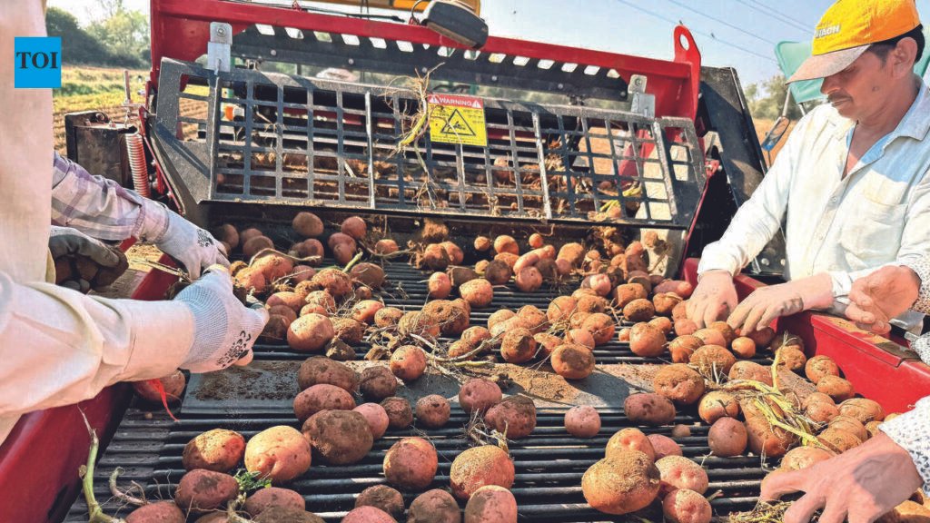 Sunday Special: Gujarat farmers turn to tech to beat labour crisis | Ahmedabad News