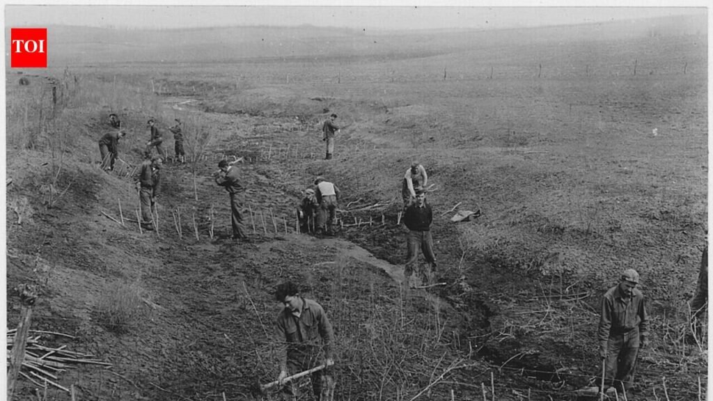 In the 1930s, America planted 220 million trees across Dust Bowl farmland; decades later, thousands of km of shelterbelts still protected farms and wildlife