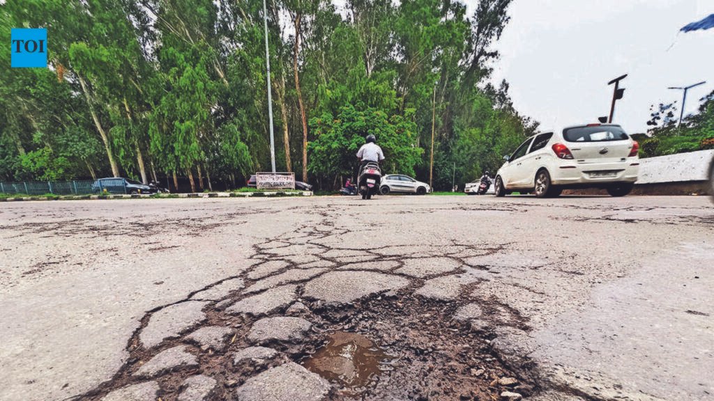 Rainy day roadwork raises quality concerns | Ludhiana News